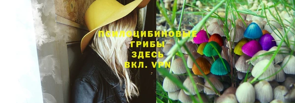 mdpv Алзамай