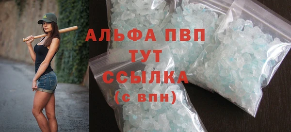индика Новодвинск