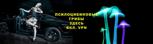 apvp Новозыбков