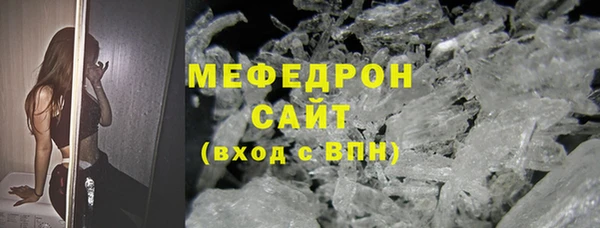 СК Алексин