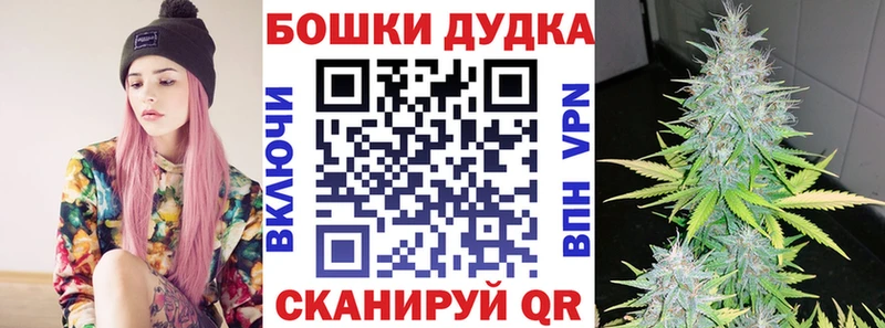 мориарти клад  Пущино  Шишки марихуана THC 21% 
